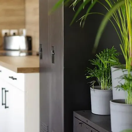 Loft Au Coeur Des Volcans D'auvergne