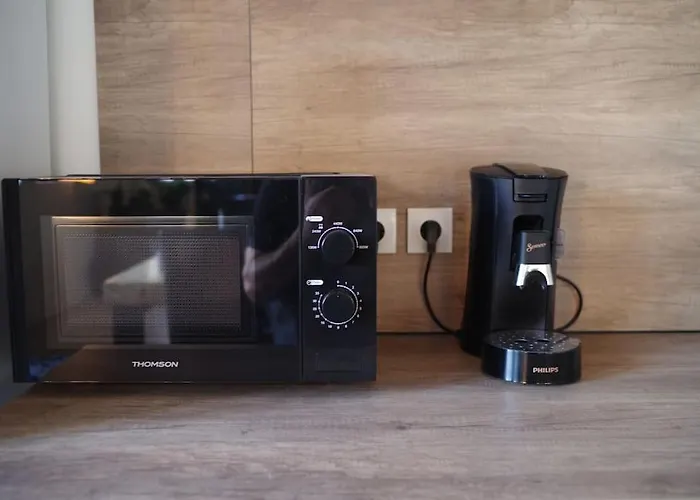 Loft Au Coeur Des Volcans D'auvergne *