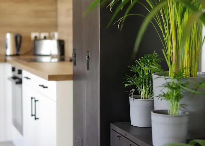 Loft Au Coeur Des Volcans D'auvergne